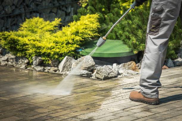 Best Boat and Dock Cleaning  in Pontotoc, MS